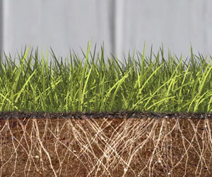 Grass Seed Mat a 49,99€