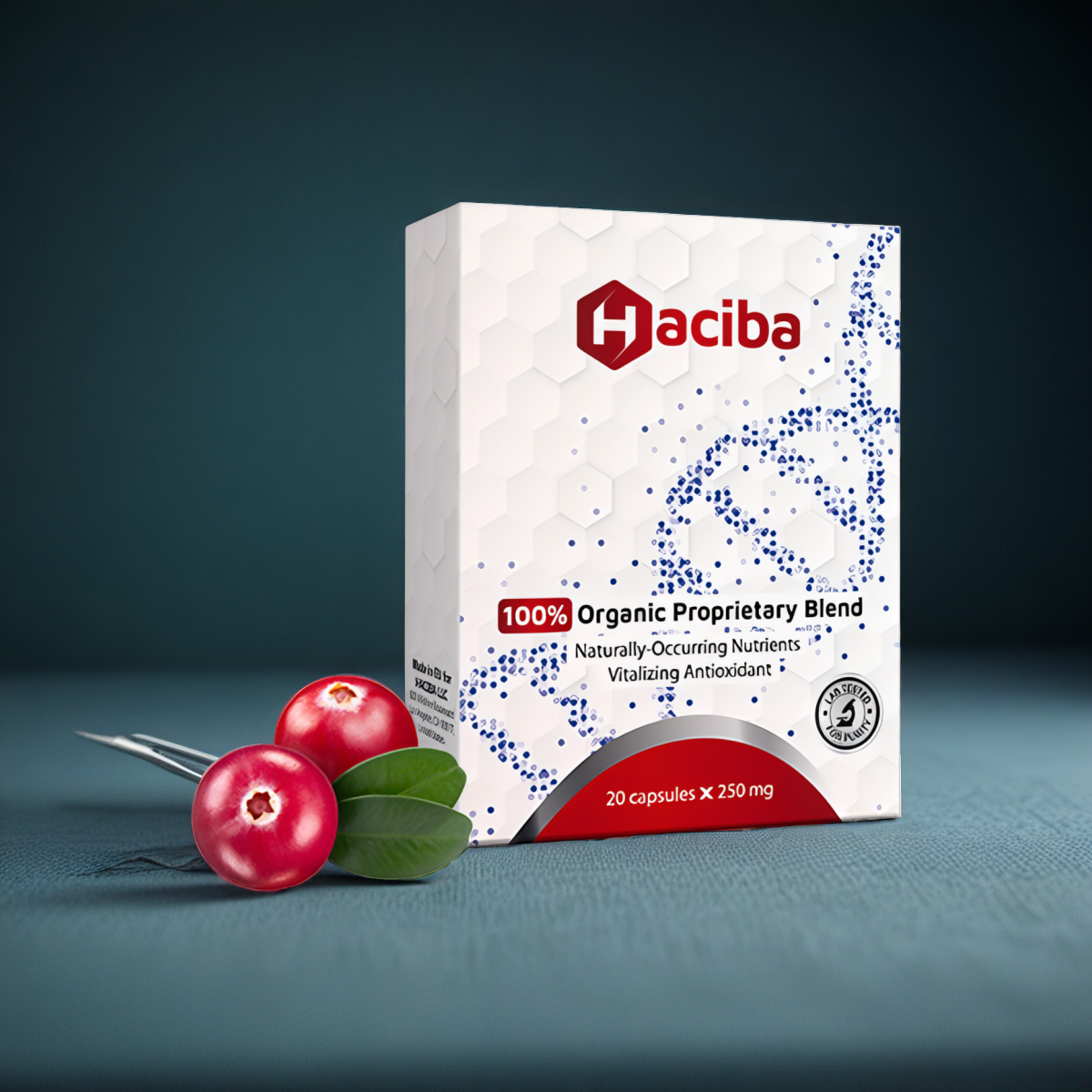 HACIBA KIDNEY SUPPORT