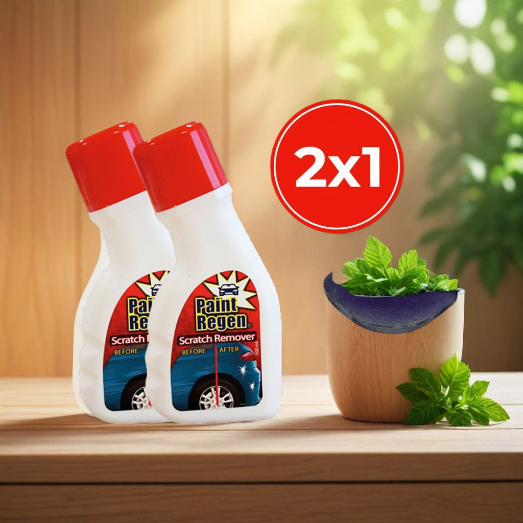 Paint Regen 2x1 a 49,99€