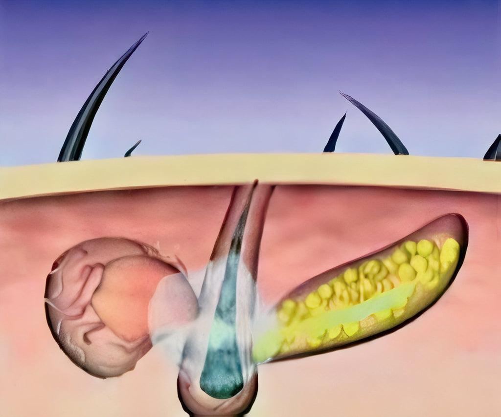 Hair Grow Max 2x1 a 49,99€