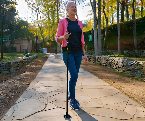 Wellpro Walking Stick a 19.698 HUF